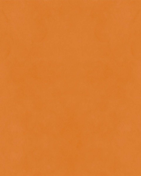Hatte Me! Palette | 28 Amber